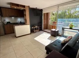 Departamento Amplio