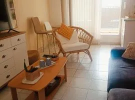 Mauguio-Carnon Apt T2 Tout Confort, Spacieux, Lumineux, Clim, Wifi, Balcon, parking privé, 15 mn des plages, de Montpellier