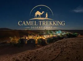 Camel Trekking Desert Camp