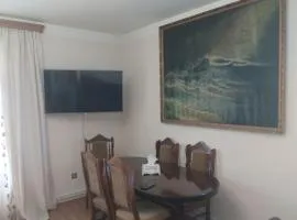 1-bedroom comfortable apartment next to French Park