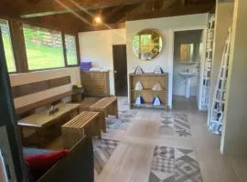Cabana Tudorenilor