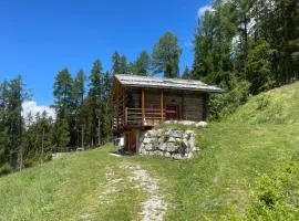 Contemporary Chalet in Mont-Noble with Mountain View.