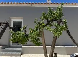 casa é vida