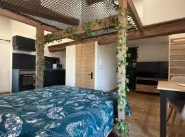 Studio atypique avec filet suspendu & mezzanine