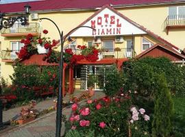 Motel Biamin, hotel em Tăşnad