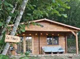 Camping Florecer