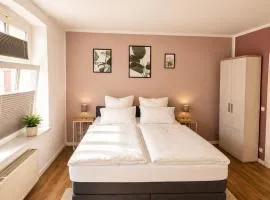 Stilvolles Altbau-Apartment in zentraler Lage mit Workspace