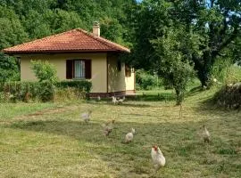 Nature escape cottage