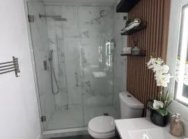 Modern Private Studio Near USF Busch Gardens