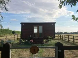 Woodpeckers Shepherds Hut
