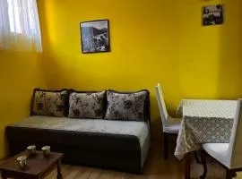 Cozy studio in Budva