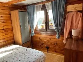 Uroczysko Łąkowe, Domki nad Kanałem Iławskim