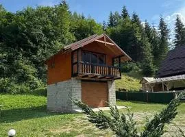 Demyaniv House