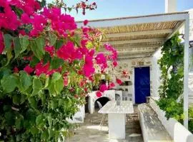 Villa Ambelas - Traditional House