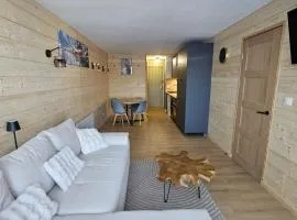 appartement ensoleillé au pied des pistes