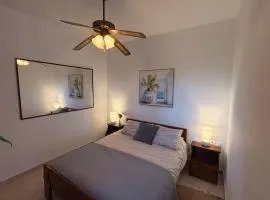 Sitia Olive Grove Retreat