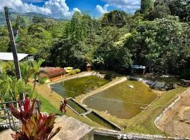 Eco Hotel Los cedros