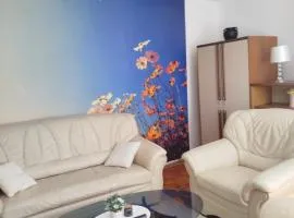 Sky View Comfort