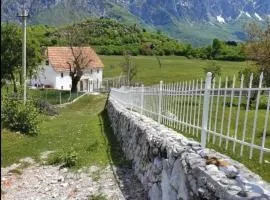 Avdi Kola