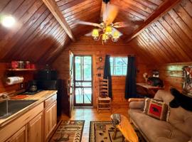 Big Bear Log cabin, hotel v destinácii Cosby