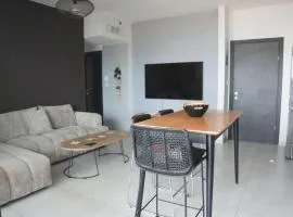 Beauty apartment 3 rooms wi-fi