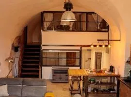 Le Bioù Provençal-Duplex-Terrasse sud-Clim-Luberon