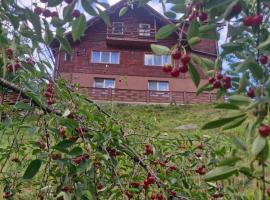 Pensiunea Cabana Viselor ,Apuseni, hotel em Vadu Moţilor