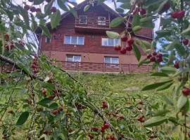 Pensiunea Cabana Viselor ,Apuseni