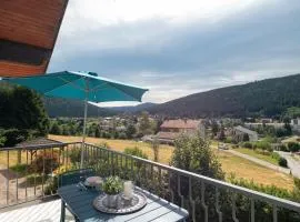 Appartement vue pistes proche lac