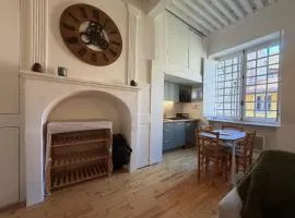 Entire apartment in the historic heart of the city