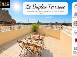 Duplex with terrace in Calais