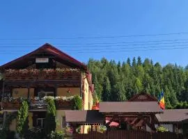Pensiunea Valea Brazilor