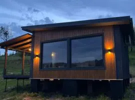 Pletey house