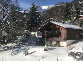 Bussalp Apartment - Aare Jungfrau AG, hotel en Grindelwald