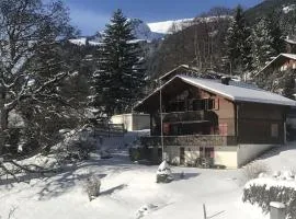 Bussalp Apartment - Aare Jungfrau AG