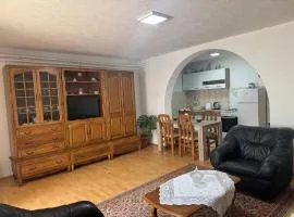 Studio Apartman Đurđevak 2