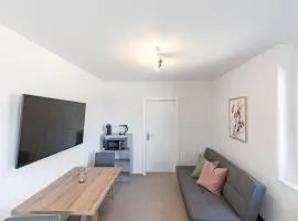 Rothorn Studio - Aare Jungfrau AG