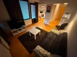 City Center Apartment with Sauna, balcony&parking
