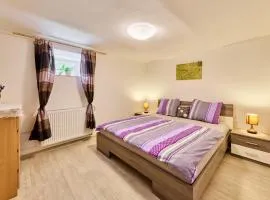 Apartmán v Podkrkonoší