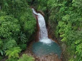 Pulangbato Falls Mountain Resort
