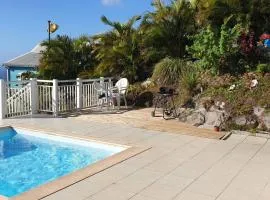Villa moderne au Diamant avec piscine privée