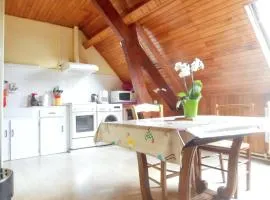 Appartement familial à La Bourboule - 55 m² avec TV dans la chambre