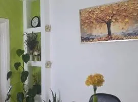 Fine Rest- City Center Apartment