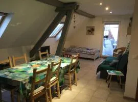 Appartement charmant à Lohr + 60 m² + terrasse et jardin