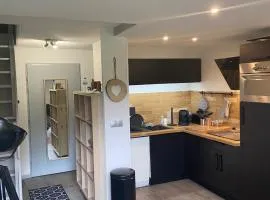 Appartement cosy à Manigod avec piscine partagée – 50 m²