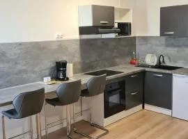 Studio élégant aux Abymes - 50 m² + Terrasse