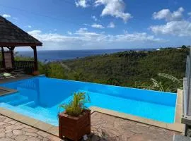 Bungalow idyllique à Vieux-Habitants avec vue sur la mer