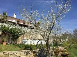 Elegant Villa in Treglio with Private Pool