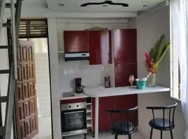 Appartement confortable à Lamentin 30 m² avec vue montagne