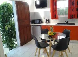 Chaleureuse maison au Moule avec piscine partagée